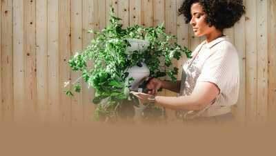 25 ideas for a small garden on a budget